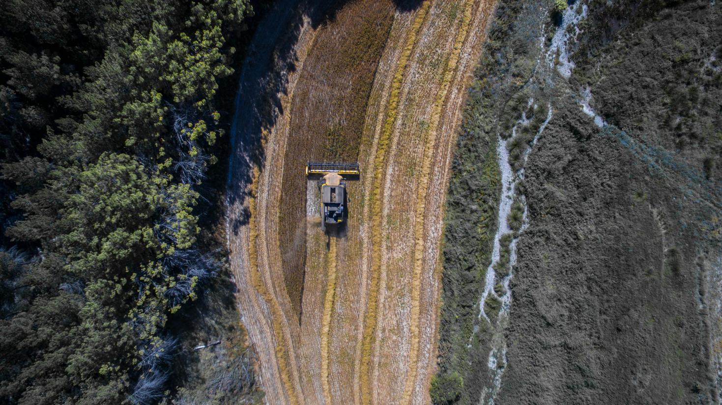 drones y agricultura